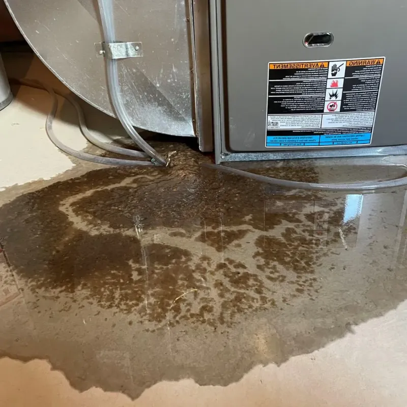 Pipe Burst and Leak Restoration in Chappaqua, NY